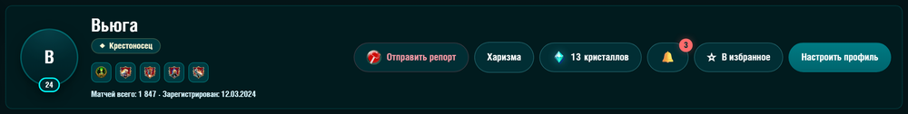 Шапка профиля: аватар с кружком уровня, никнейм, титул и ряд кнопок